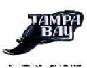 tampa_bay_devil_rays2.jpg