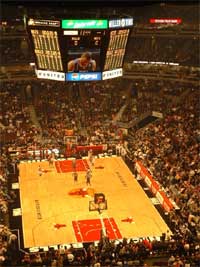 bulls2