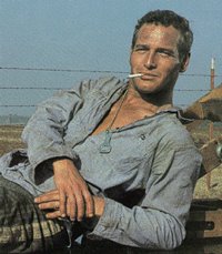 Cool Hand Luke Cool Hand Luke