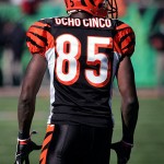 chad-ocho-cinco