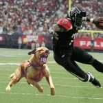 mike-vick-dogs