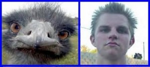 clausen emu