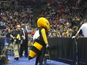 buzz georgia tech mascot