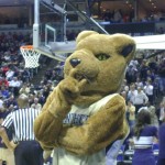 Roc Pitt Panther