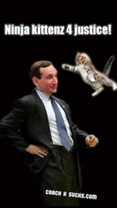 coachkkittens coach k kitten