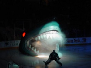 san-jose-sharks game introduction