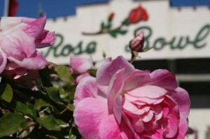 rose-bowl
