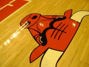 chicago-bulls