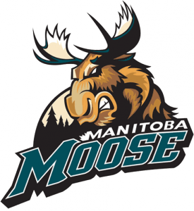 manitoba moose the sports bank hockey