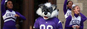 northwestern mascot