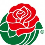 rose-bowl