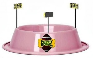 the puppy bowl