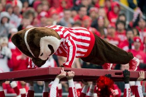 wisconsin badgers
