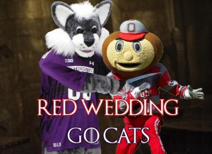 northwestern-wildcats