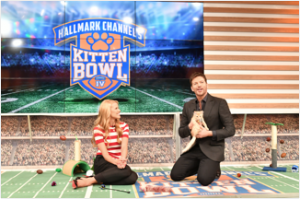 kitten bowl beth stern