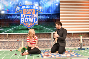 kitten bowl 4 beth stern