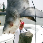 fish-mavericks-sharks