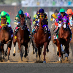 horse-racing