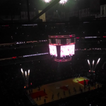 chicago bulls