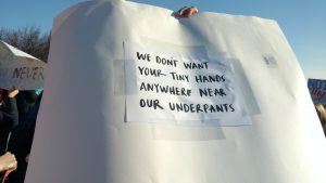 women's march chicago