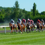 HORSE RACING