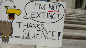 march for science chicago bald eagle