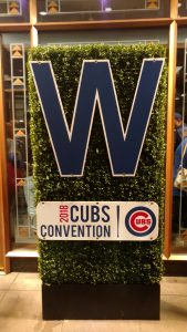 cubs convention