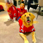 atom and humber