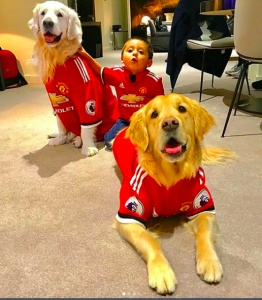 atom and humber