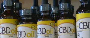 cbd oil