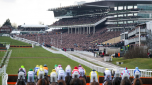 cheltenham festival