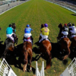 horse racing
