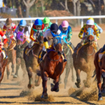 preakness stakes
