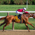 HORSE RACING