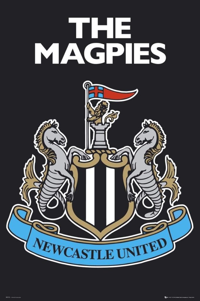 Newcastle United Next to Become Financial Superpower Club