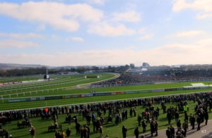 cheltenham