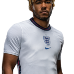 reece james