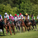 cheltenham