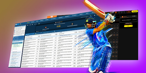 Online cricket betting india legal system forexyard intraday