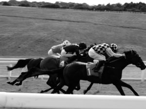 cheltenham
