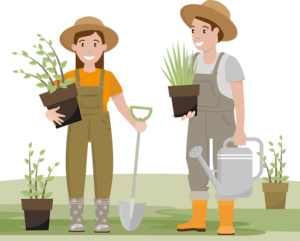 gardening cartoon