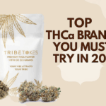 tribe tokes