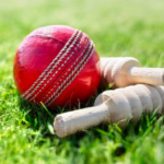 cricket