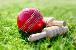 cricket
